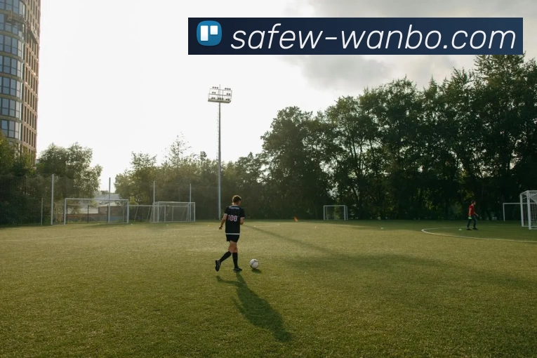 万博体育平台生态图